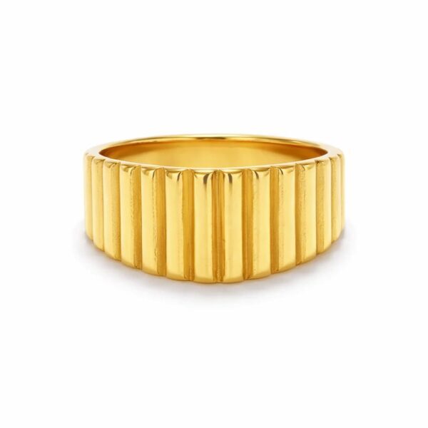 Rib-Ring