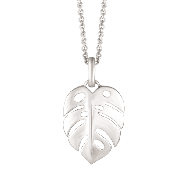 Blattsilberkette Abmessungen: 19 x 15 mm