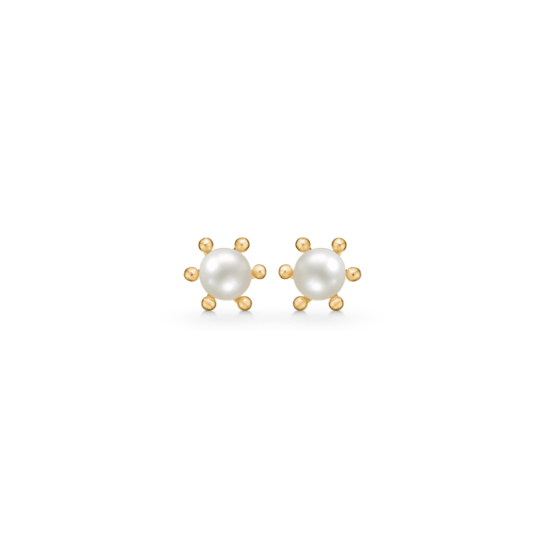 Arkandi Perlenohrringe Gold, mit Süßwasserperle 4 mm